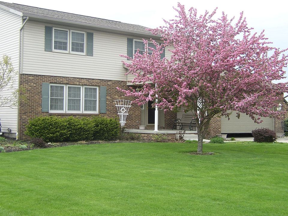 2008 Crabapple Tree in Bloom