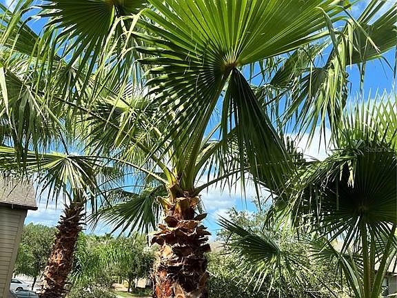 5th image of 17371 Old Tobacco Rd