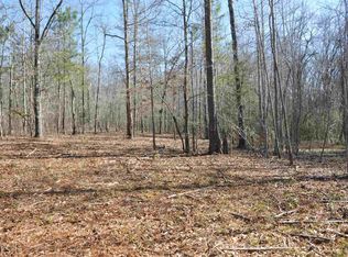 2 Hollonville Rd, Williamson, GA 30292