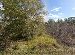 7450 Castleberry Dr #9, Webster, FL 33597