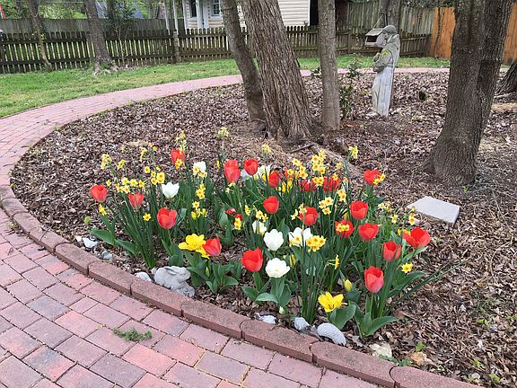 Flowers in Natural Area