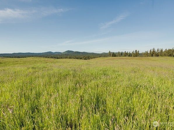 3737 C S Jumpoff Road Lot 4, Valley, WA 99181