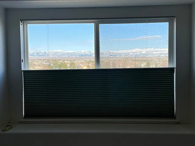 Master Bedroom View