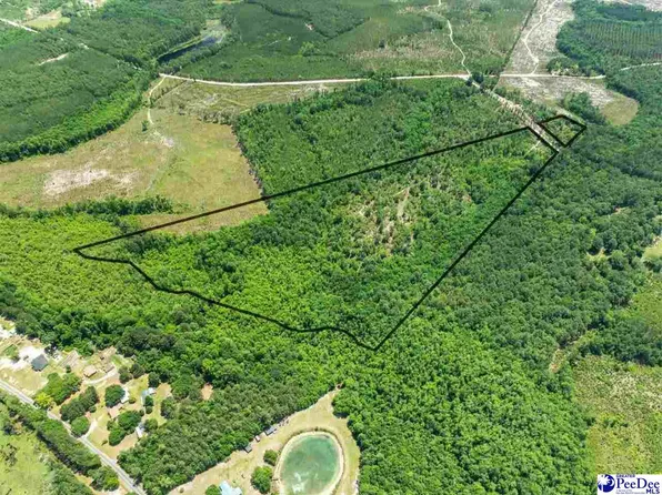 Crowley Rd, Patrick, SC 29584