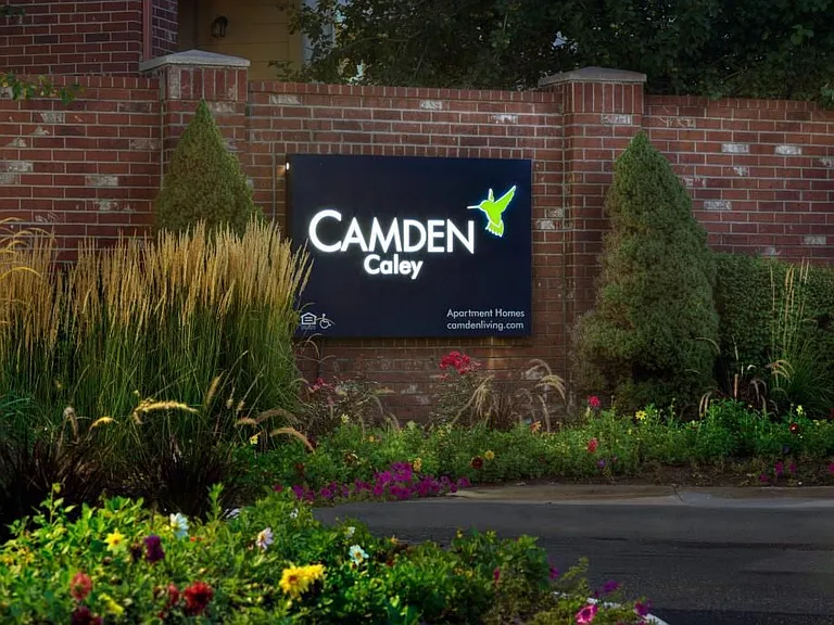 Camden Caley — Photo 31