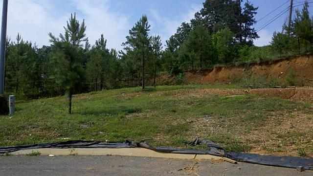 2nd image of 112 Savannah Cv