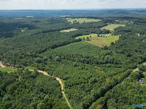 4th image of 39 Walker Mountain Rd