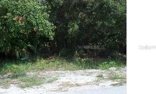 2nd image of 511 Dorsey Ct