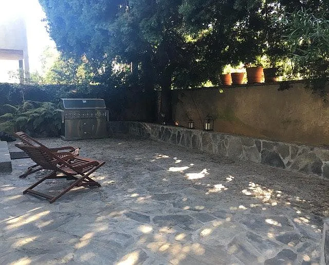 Back yard