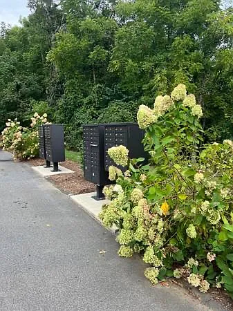 41 Wheeler Rd — Photo 20