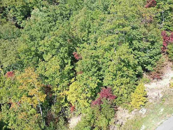 5th image of 46 Mountain Ash Way Lot 11