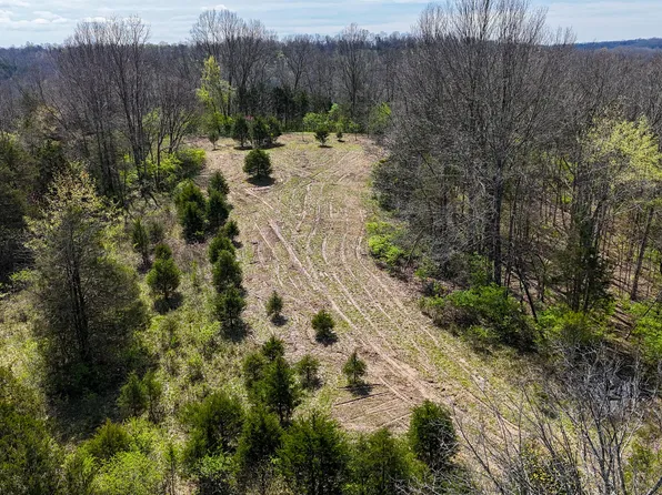 215 Big Twin Creek Rd, Worthville, KY 41098