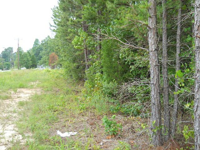 2nd image of 1341 Long Branch Rd