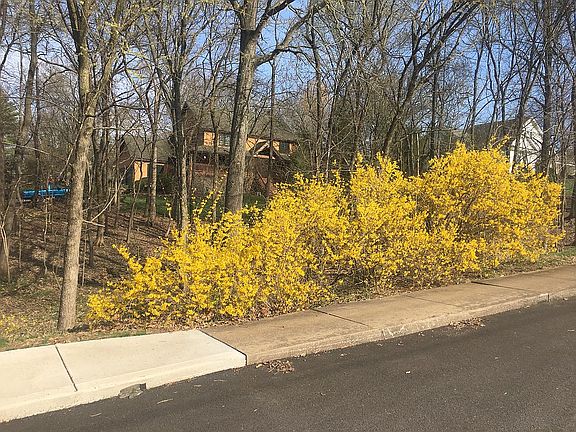 Spring view from the street