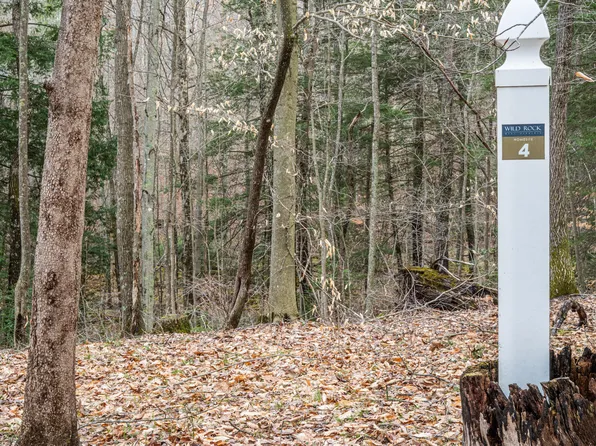 4 Peregrine Ridge Rd, Victor, WV 25938