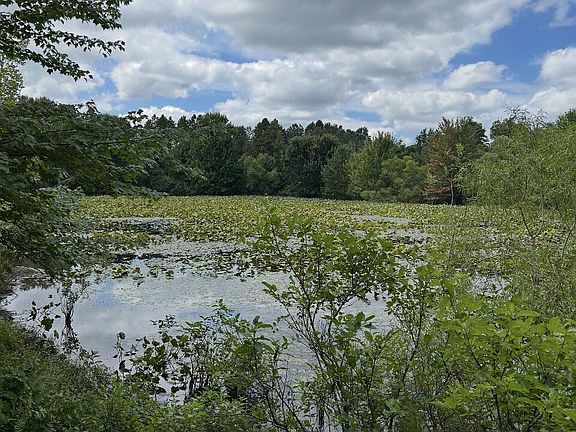 4th image of V/l E Pierce Rd