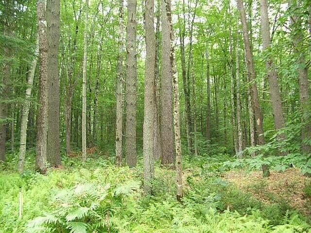 2nd image of 0 Campground (Lot 2) Road