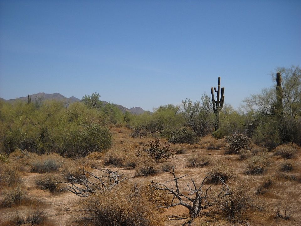 2nd image of 8770 E BRONCO Trail #1