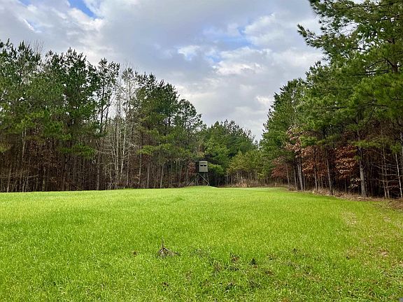 4th image of 10078 Old Port Gibson Rd