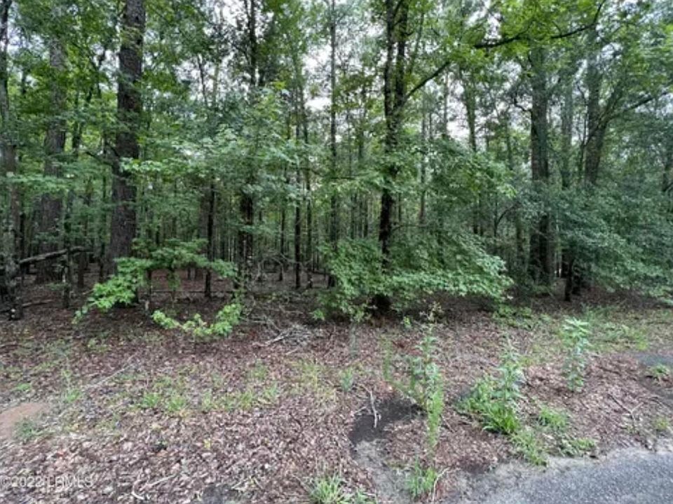 2nd image of 0 Wannamaker Dr
