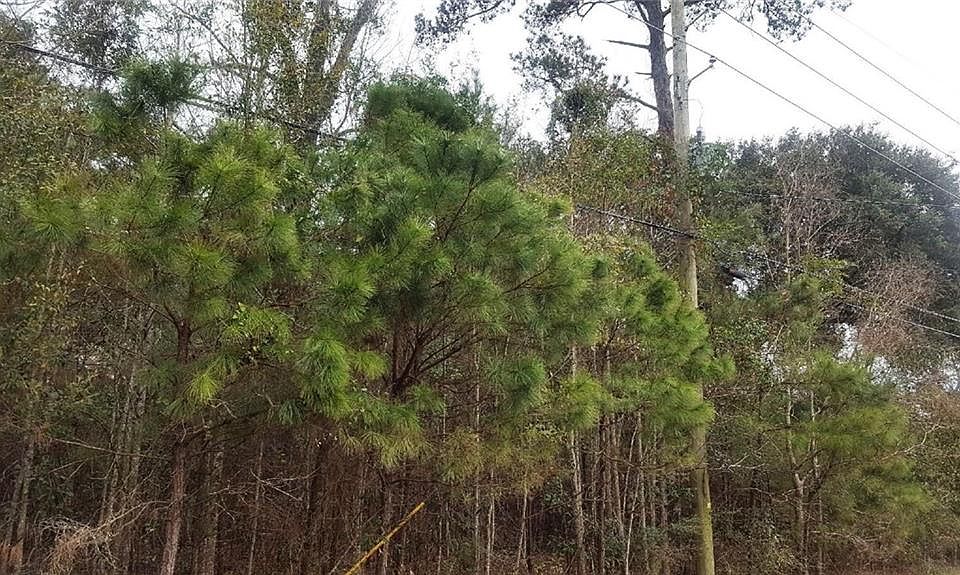 2nd image of 3537 Burton Ln