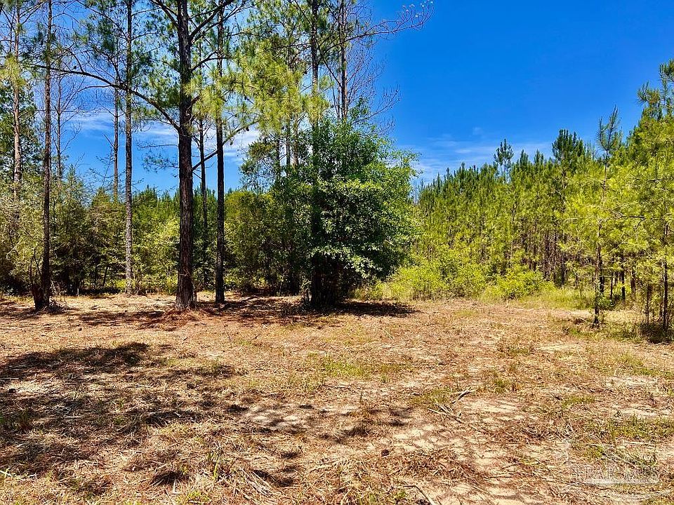 1st image of LOT 89 Pine Preserve Ln