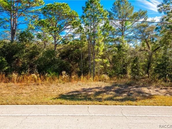 8811 N Citrus Springs Blvd, Citrus Springs, FL 34433