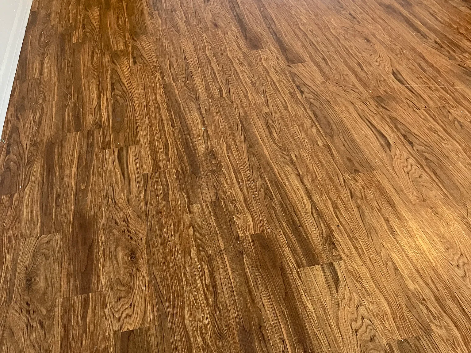 1 bed, 588 sqft, $750 — Photo 4