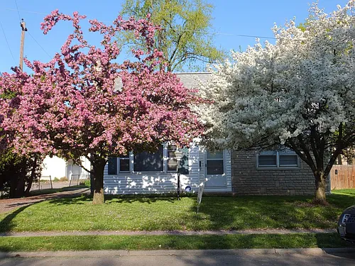 1627 N Star Ave Photo 1