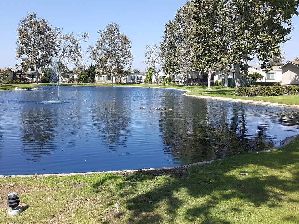 Peaceful lake with ducks