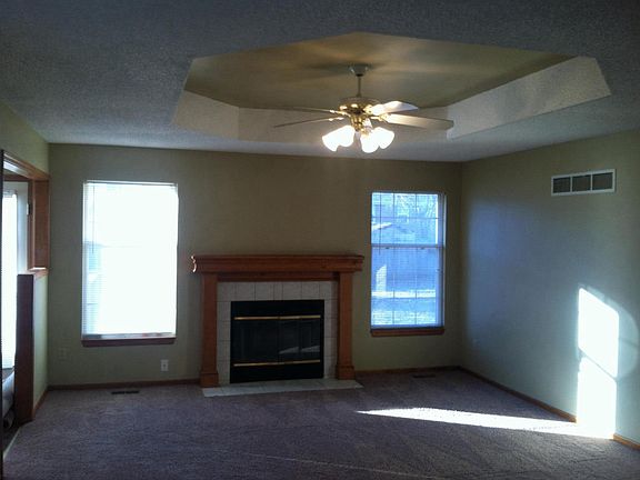 Woodburning Fireplace