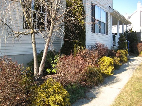 Prof. Landscaped Walkways