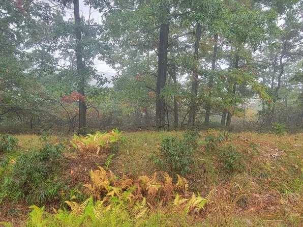 Buttonbush Ln Lot 121, Hazleton, PA 18202