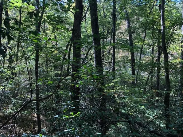 Craig Thompson Dr #16, Blairsville, GA 30512