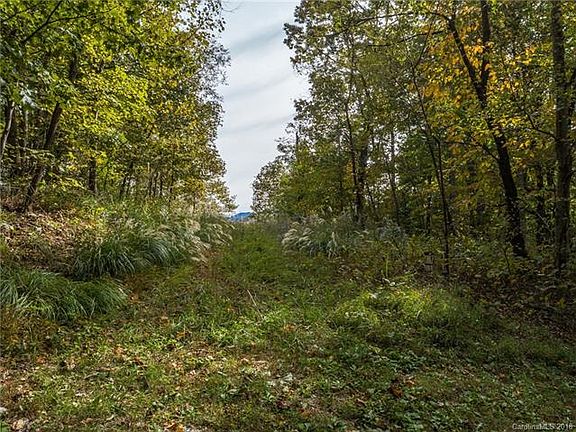 4th image of 27 Trillium Ln