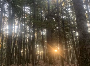 1433 Bog Rd, Bristol, NH 03222