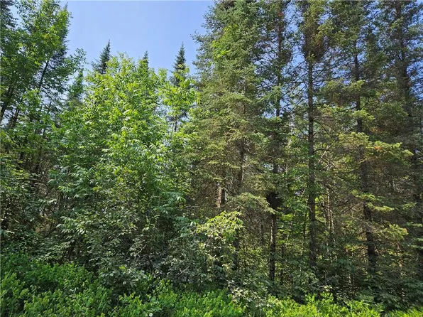 0 Beaver Brook Rd., Radisson, WI 54867
