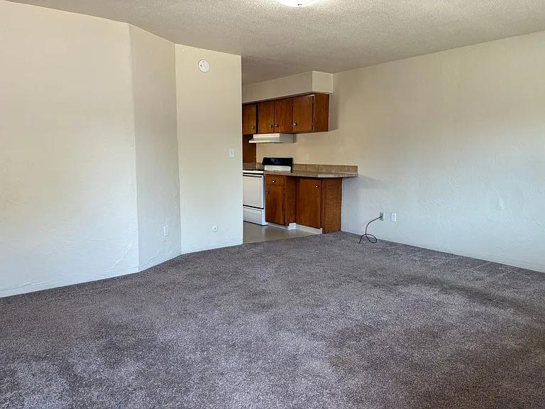 323 E 18th Aly — Photo 15