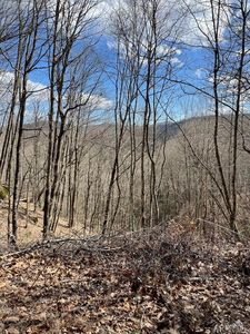 LOT-43B Laurel Falls Rd, Glenville, NC, 23736