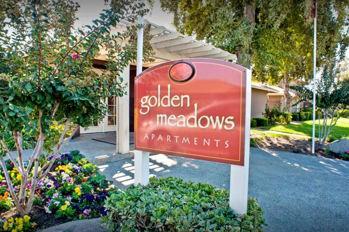 Golden Meadows — Photo 3