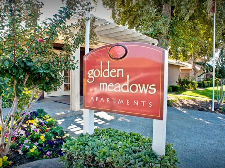 Golden Meadows — Photo 3