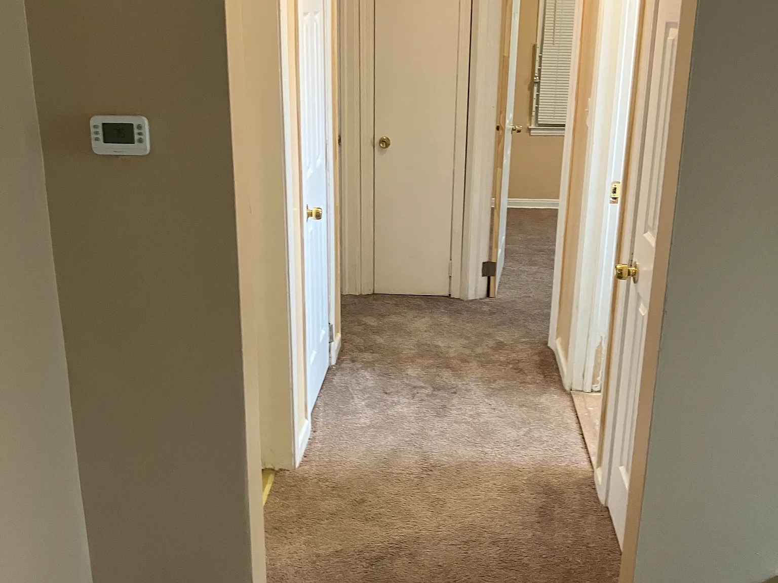 2 bed, 800 sqft, $1,350 — Photo 4