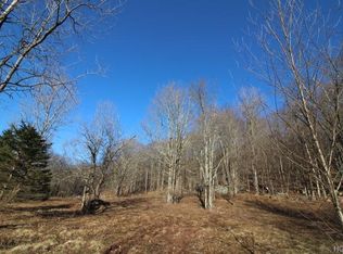 Wegman Rd, Roscoe, NY 12776