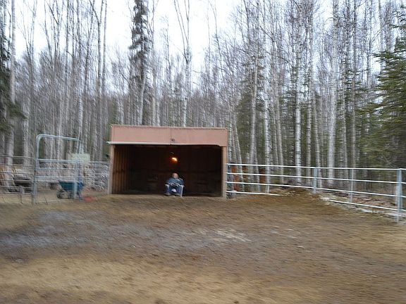 upper arena horse shed
