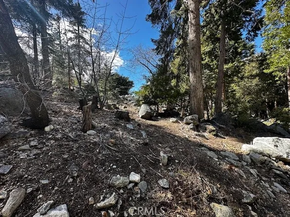 0 Fir Dr #212, Forest Falls, CA 92339
