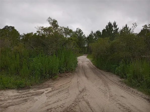 0 Primrose Ln #5, Webster, FL 33597