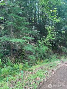 12 Dow Ridge Road, Hoodsport, WA, 98548