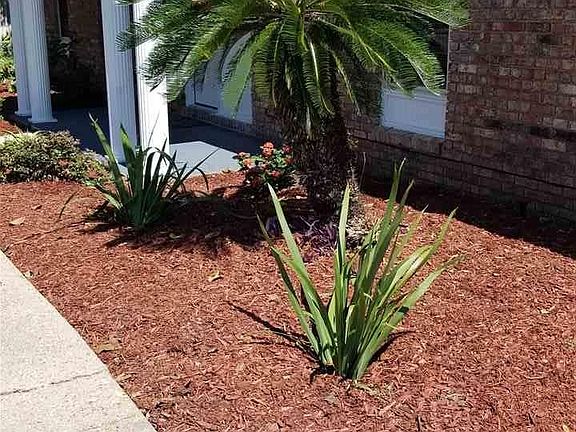 2nd image of 222 Florida Ave