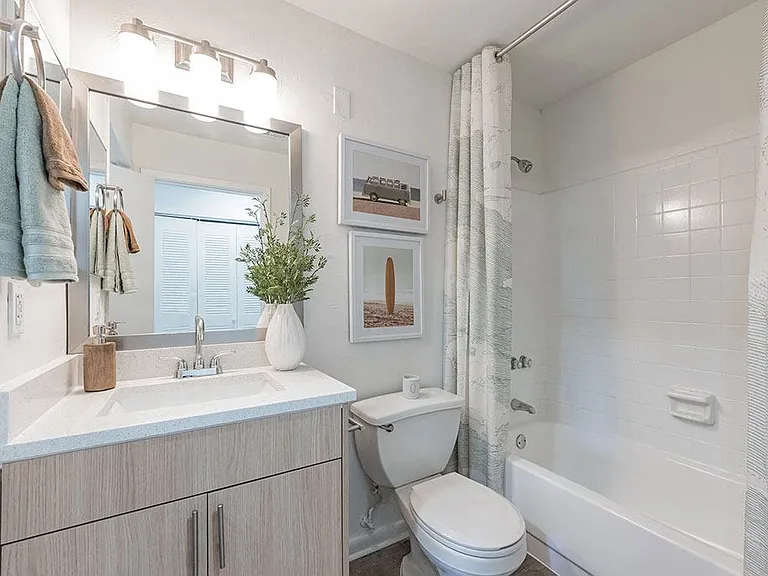 The Pointe at Carrollwood — Photo 13