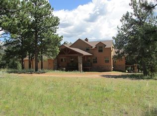 893 Old Ranch Rd, Florissant, CO 80816